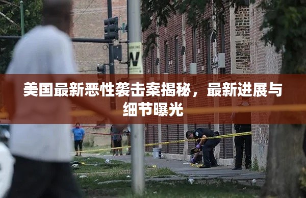 美国最新恶性袭击案揭秘，最新进展与细节曝光