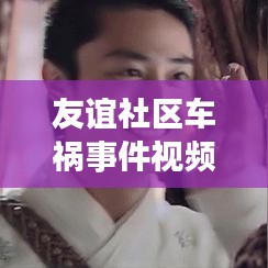 友谊社区车祸事件视频最新：友谊社区户型图 