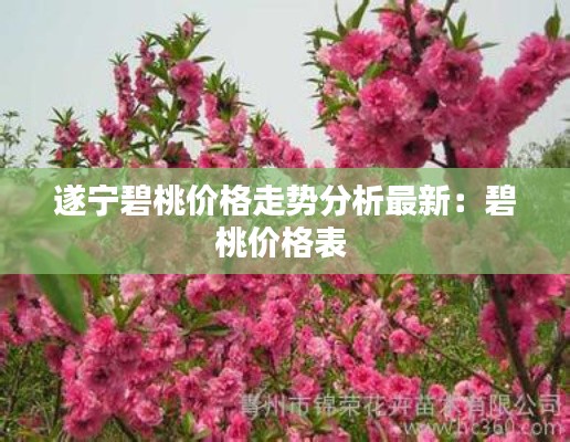 遂宁碧桃价格走势分析最新：碧桃价格表 