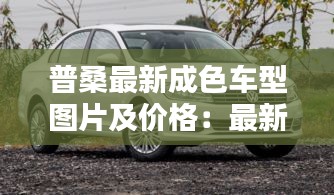 普桑最新成色车型图片及价格：最新款普桑多少钱 