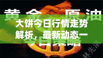 大饼今日行情走势解析，最新动态一网打尽