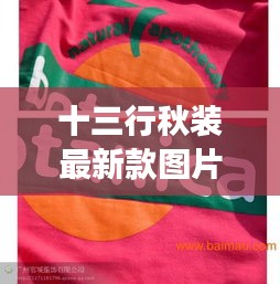 十三行秋装最新款图片及价格：十三行女装品牌有哪些 