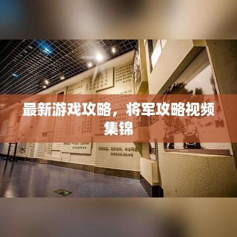 最新游戏攻略，将军攻略视频集锦