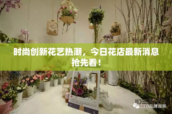 如翚斯飞 第3页