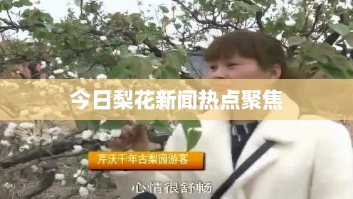 今日梨花新闻热点聚焦