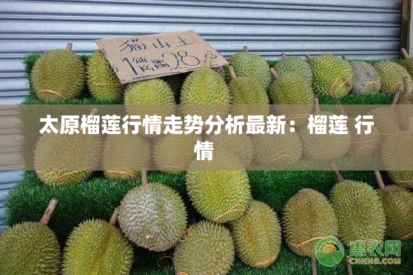 太原榴莲行情走势分析最新：榴莲 行情 