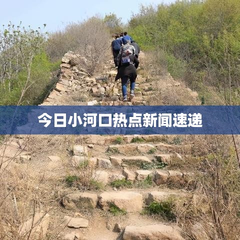 芳兰竟体 第3页