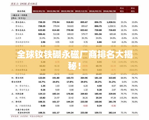 全球钕铁硼永磁厂商排名大揭秘！