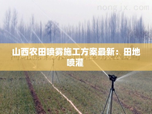 衣不完采 第3页