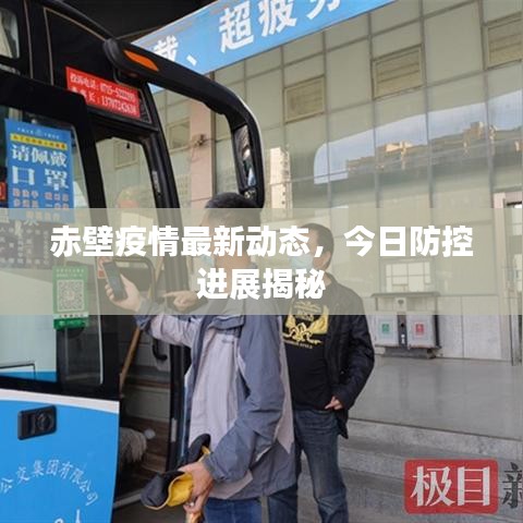 赤壁疫情最新动态，今日防控进展揭秘