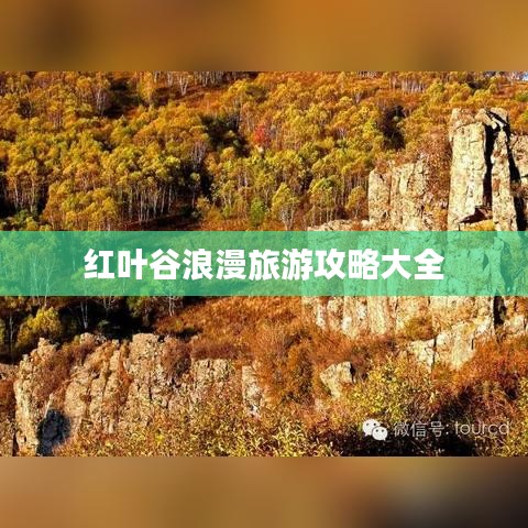 喜出望外 第3页