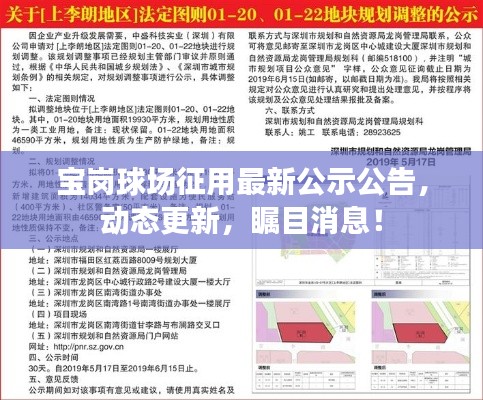 宝岗球场征用最新公示公告，动态更新，瞩目消息！