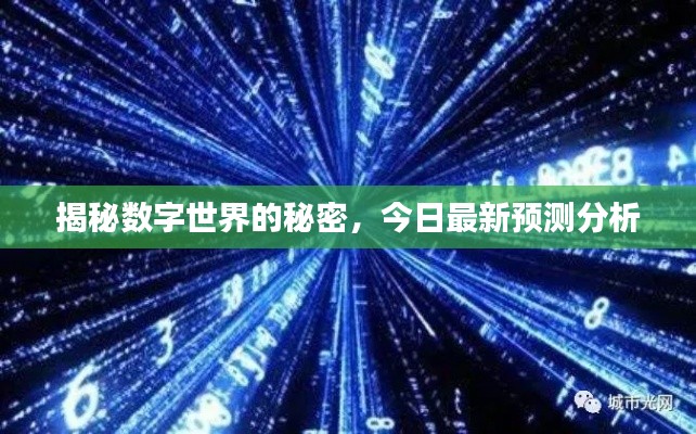 揭秘数字世界的秘密，今日最新预测分析