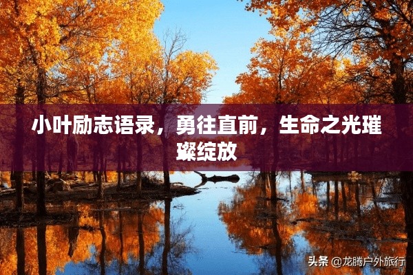 小叶励志语录，勇往直前，生命之光璀璨绽放