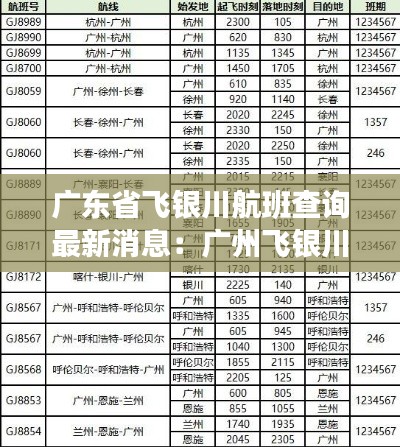 广东省飞银川航班查询最新消息：广州飞银川航班 