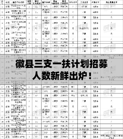 闻所未闻 第3页