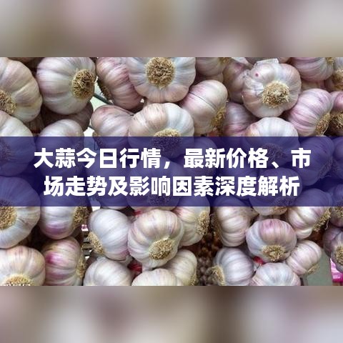 大蒜今日行情，最新价格、市场走势及影响因素深度解析