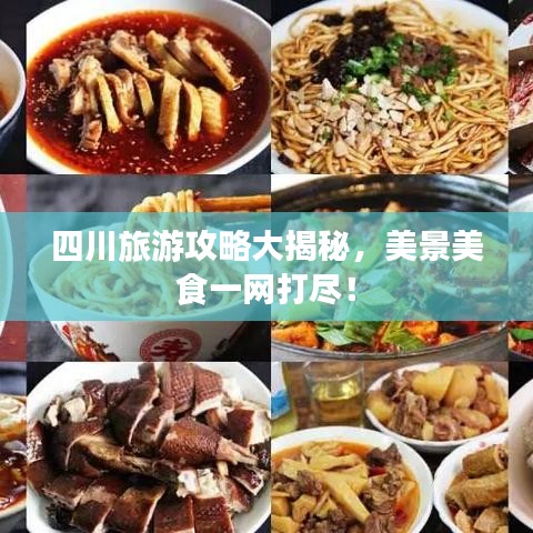 百鸟齐鸣 第3页