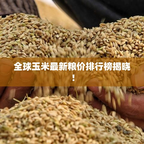 云烟 第3页