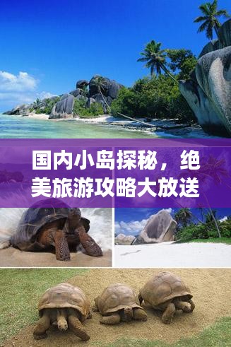 国内小岛探秘，绝美旅游攻略大放送！