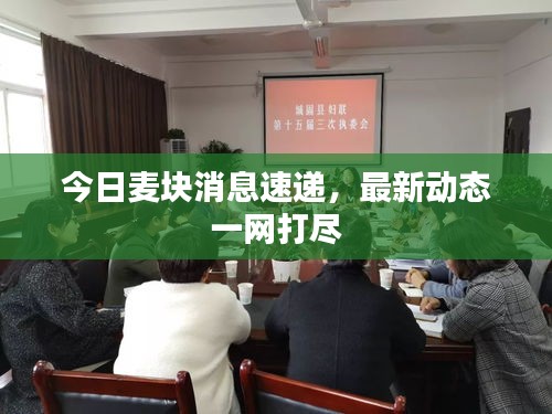 今日麦块消息速递，最新动态一网打尽