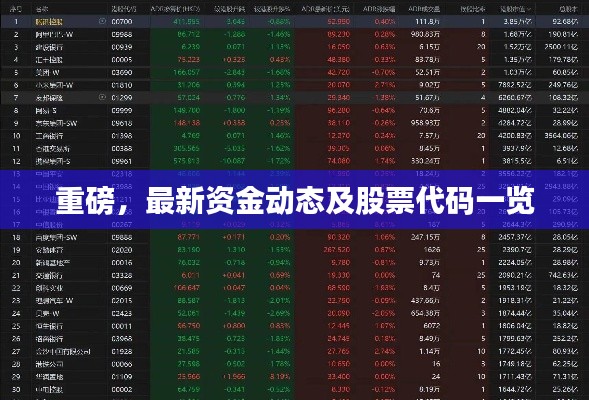 重磅，最新资金动态及股票代码一览