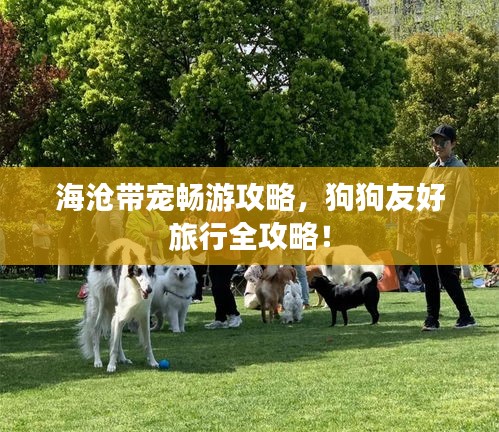海沧带宠畅游攻略，狗狗友好旅行全攻略！