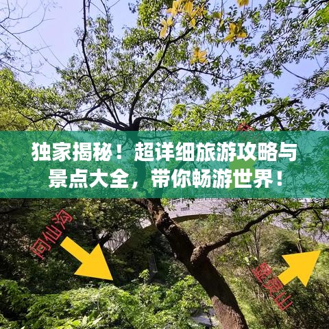 独家揭秘！超详细旅游攻略与景点大全，带你畅游世界！