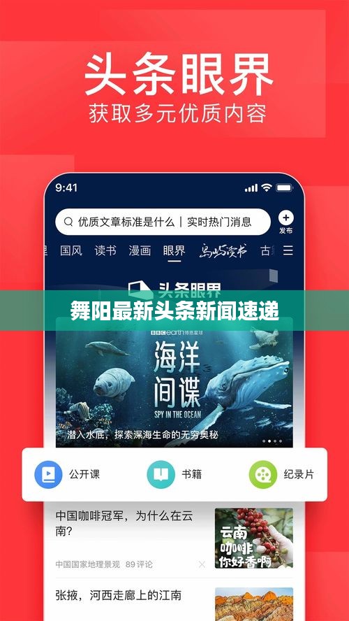 舞阳最新头条新闻速递