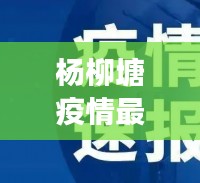 杨柳塘疫情最新消息，今日通报疫情防控进展