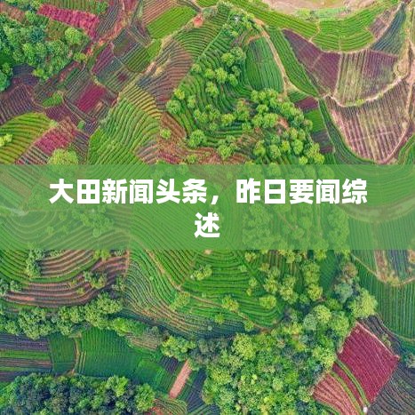 大田新闻头条，昨日要闻综述