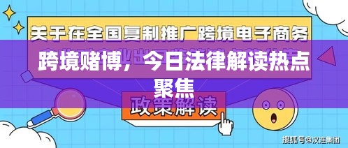跨境赌博，今日法律解读热点聚焦