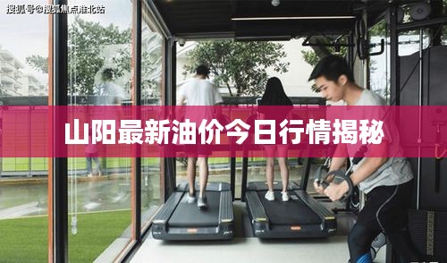 发硎新试 第3页