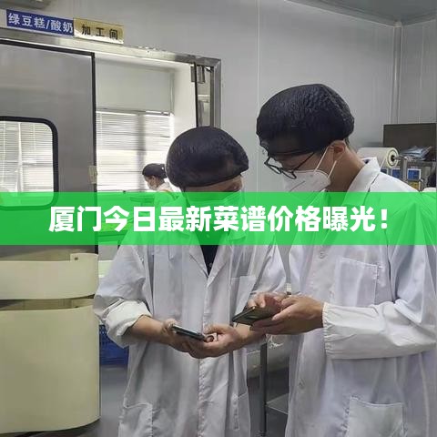 厦门今日最新菜谱价格曝光!