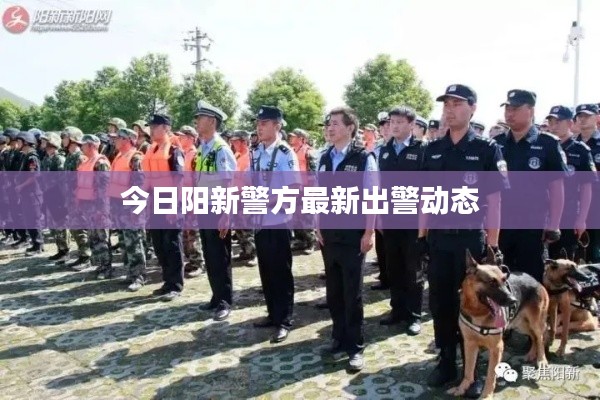 今日阳新警方最新出警动态