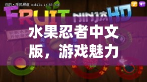 水果忍者中文版，游戏魅力与体验全解析