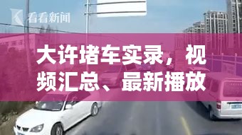 大许堵车实录，视频汇总、最新播放及深度解析