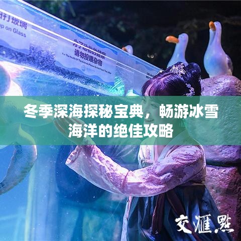 冬季深海探秘宝典，畅游冰雪海洋的绝佳攻略