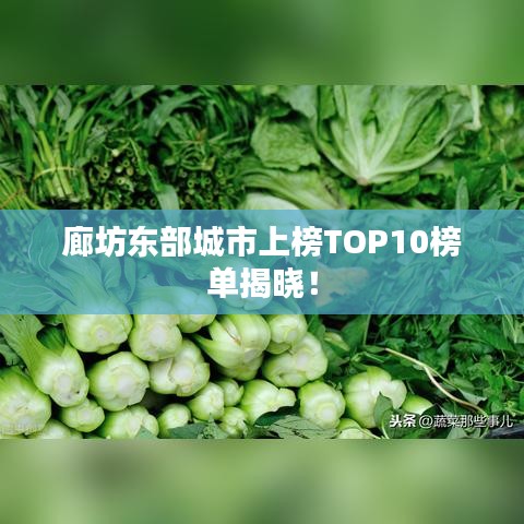 廊坊东部城市上榜TOP10榜单揭晓！
