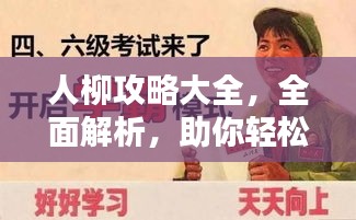 人柳攻略大全，全面解析，助你轻松掌握！
