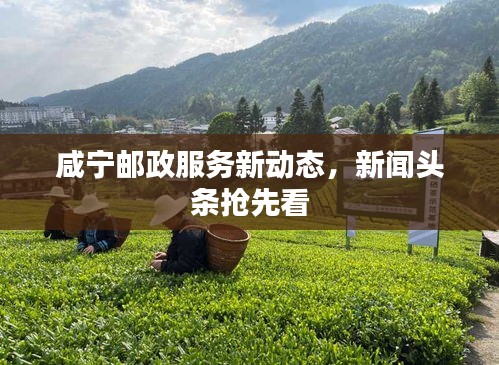 咸宁邮政服务新动态，新闻头条抢先看