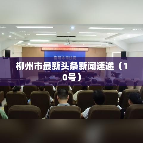 柳州市最新头条新闻速递（10号）