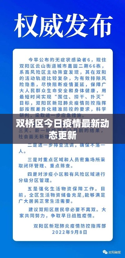 双桥区今日疫情最新动态更新