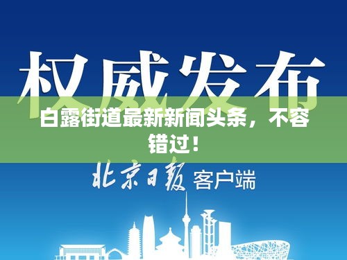白露街道最新新闻头条，不容错过！