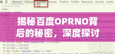 揭秘百度OPRNO背后的秘密，深度探讨与解析