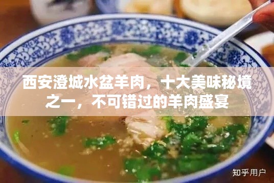 西安澄城水盆羊肉，十大美味秘境之一，不可错过的羊肉盛宴
