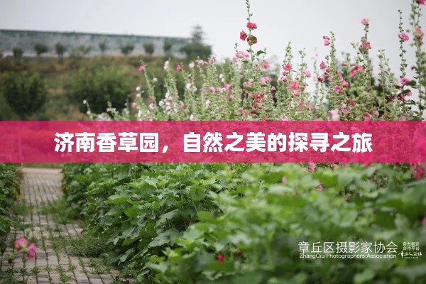 济南香草园，自然之美的探寻之旅