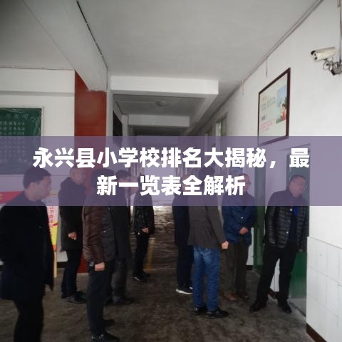永兴县小学校排名大揭秘，最新一览表全解析