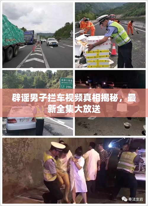 钗荆裙布 第3页