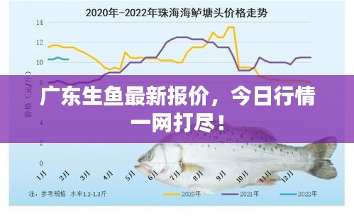 广东生鱼最新报价，今日行情一网打尽！
